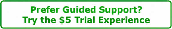 Guided support $5 Trial Experience button in the mid-page CTA section for Helfi gym in Woolloongabba Brisbane