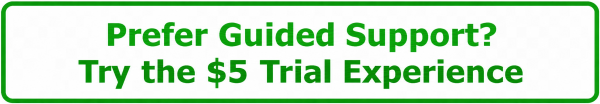 Guided support $5 Trial Experience button in the hero section for Helfi gym in Woolloongabba Brisbane