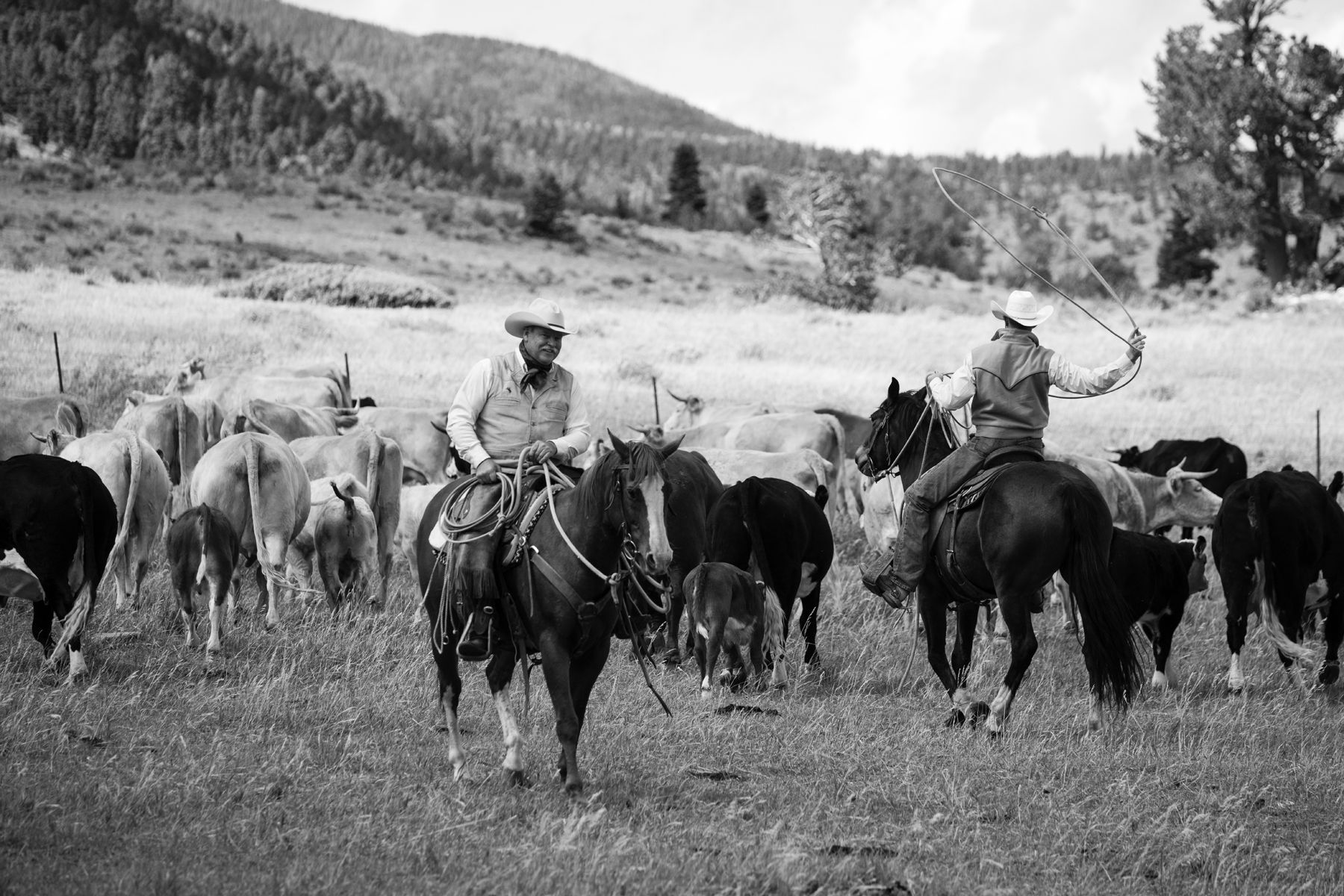 Trip Report: Spirit of the West: Cowboys & Western Ranches - September 2025