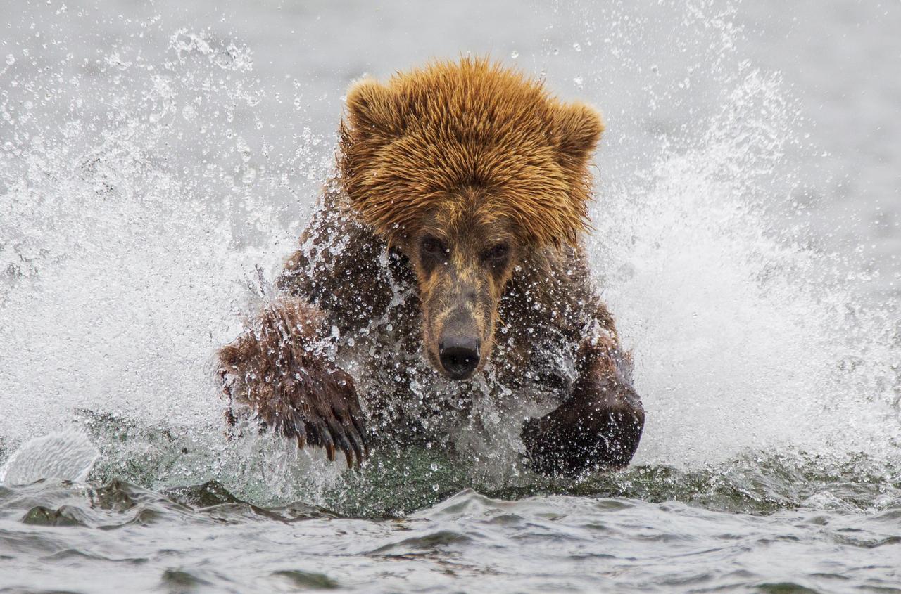 Backcountry Journeys Photography Tours, & Safaris