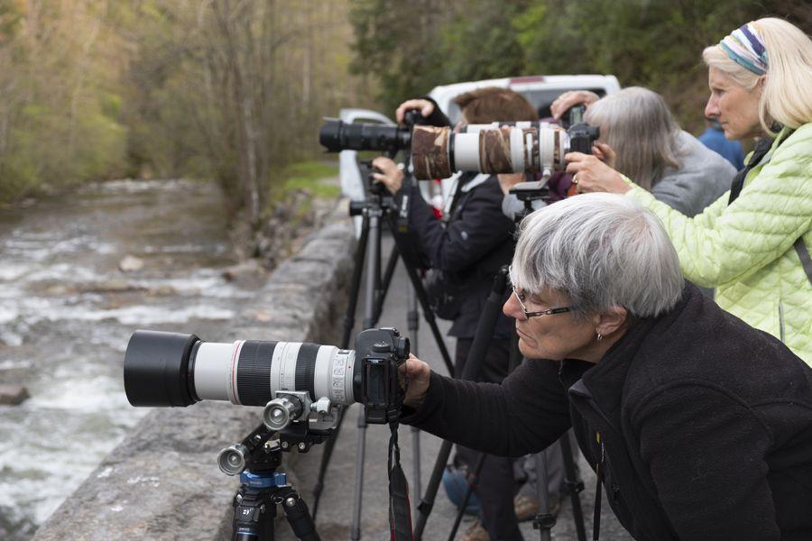 Backcountry Journeys Photography Tours, & Safaris