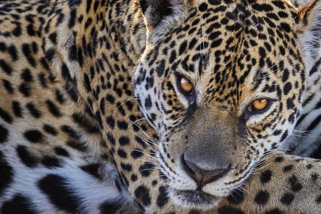 Backcountry Journeys Photography Tours, & Safaris