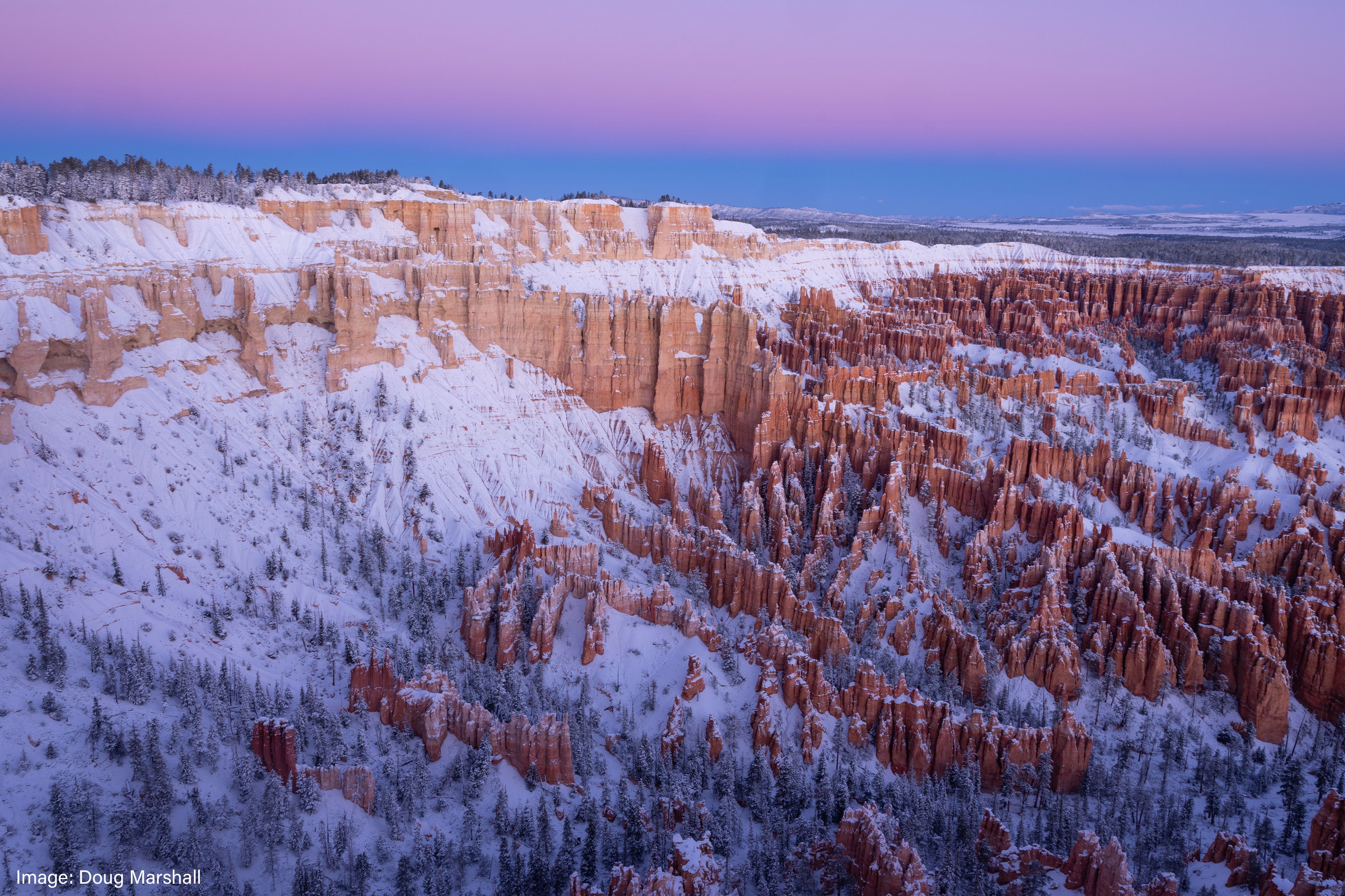 Backcountry Journeys Photography Tours, & Safaris