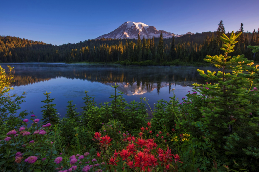 Mount Rainier National Park - Backcountry Journeys - Trip Page