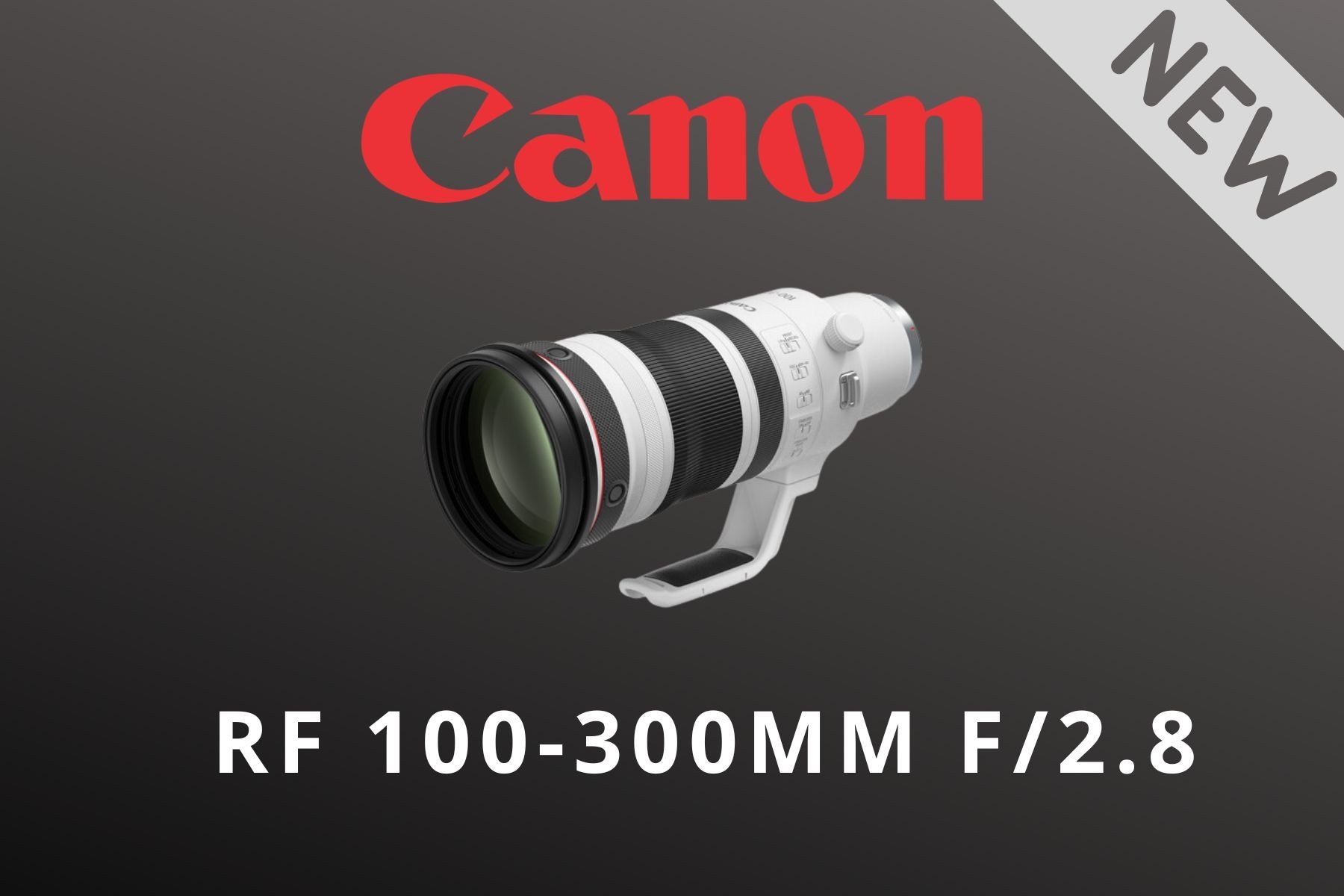 Shop Canon RF100-300mm F2.8 L IS USM