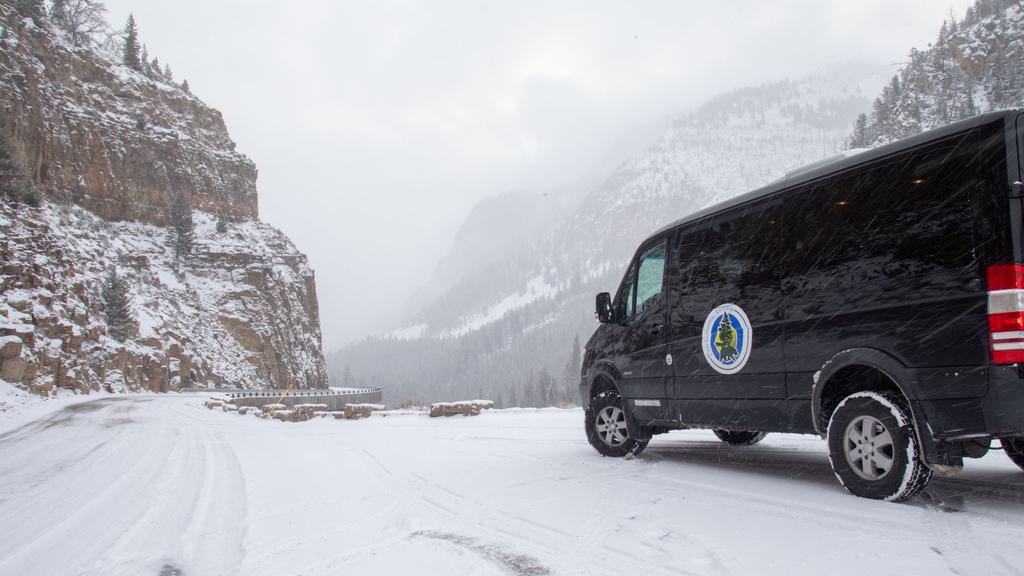 Travel insurance backcountry journeys
