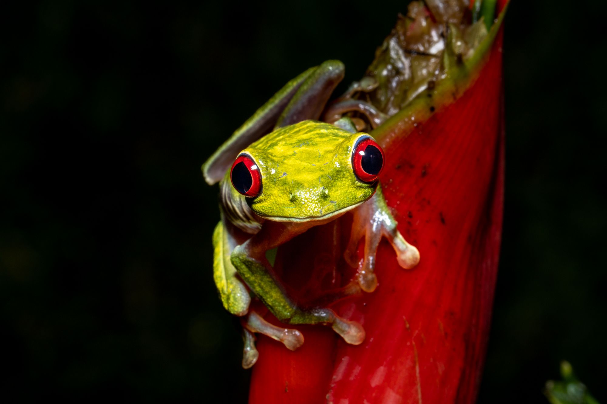 Backcountry Journeys - Photography Tours, Workshops & Safaris