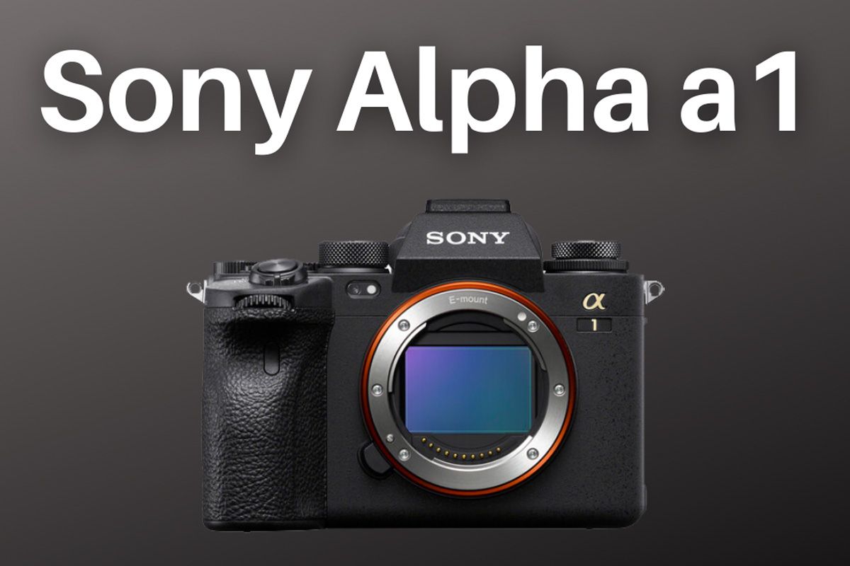 Sony Alpha a1 Announced: Specs, Price & Thoughts