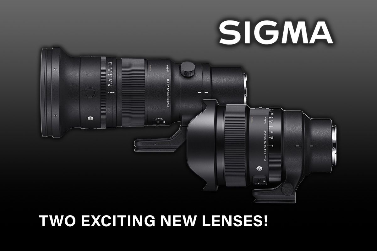Two Exciting New Prime Lenses from Sigma