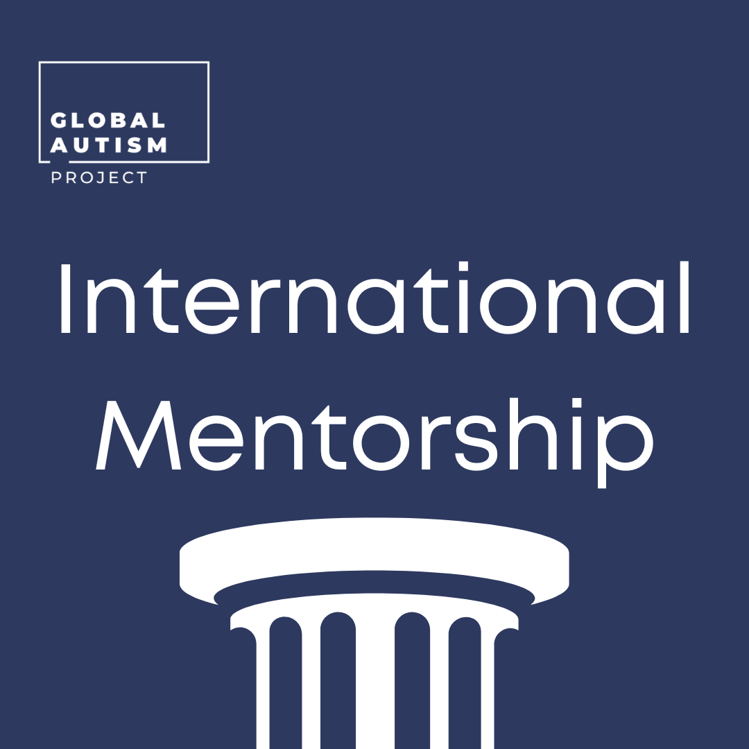 International Mentorship Program
