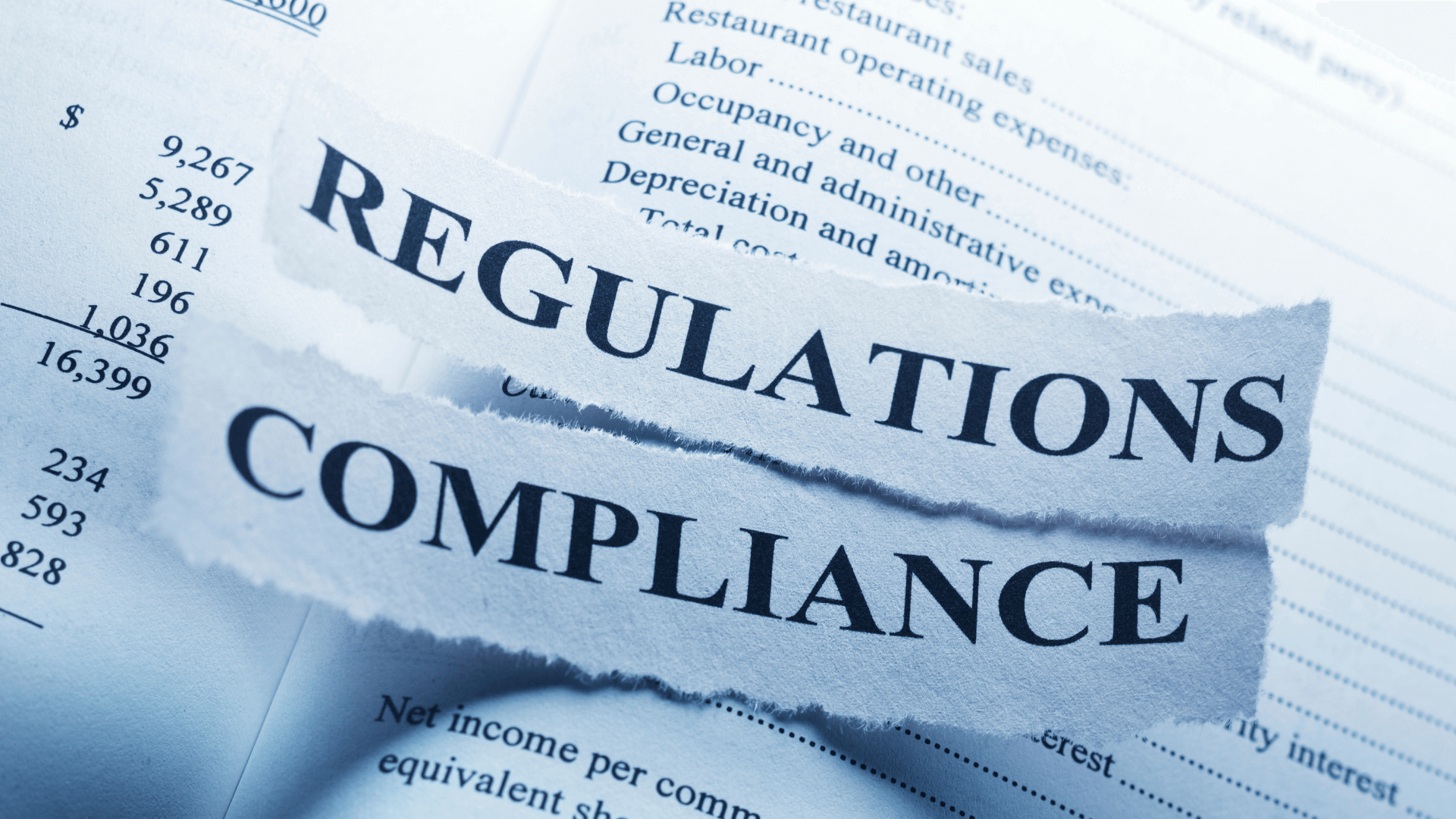 Compass navigating through SMSF property investment regulations