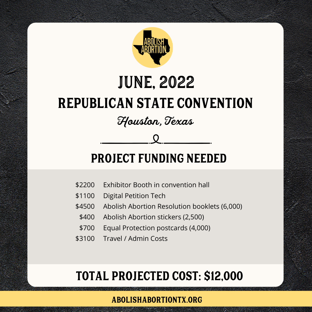 Texas Republican State Convention Projected Cost