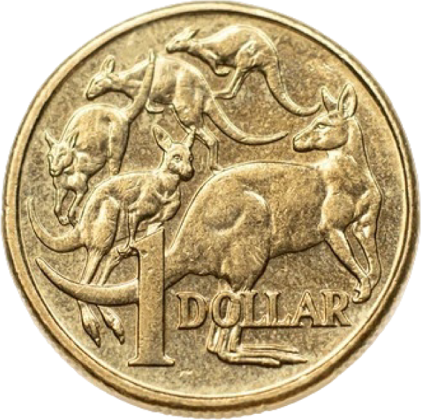 Gold coin