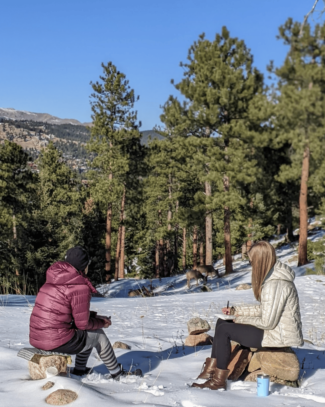 Two practitioners sitting together in a snowy pine clearing during a nature-based coaching session
