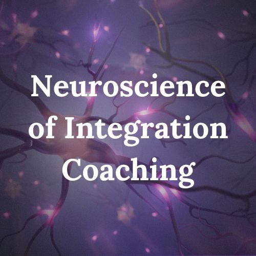 Module 2, Neuroscience of Integration Coaching: how the brain and nervous system process transformation, taught through a relational lens.