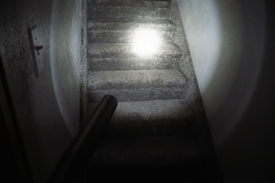 flashlight-bat-andrew-grimshaw