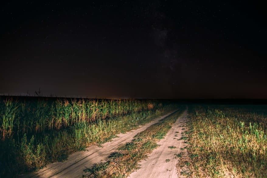 bat-flashlight-andrew-grimshaw