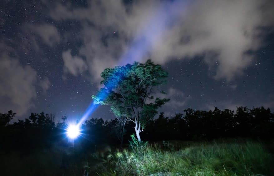 bat-flashlight-andrew-grimshaw