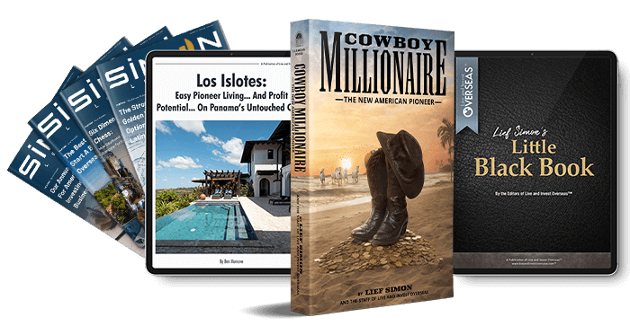 Cowboy Millionaire book and bonus reports