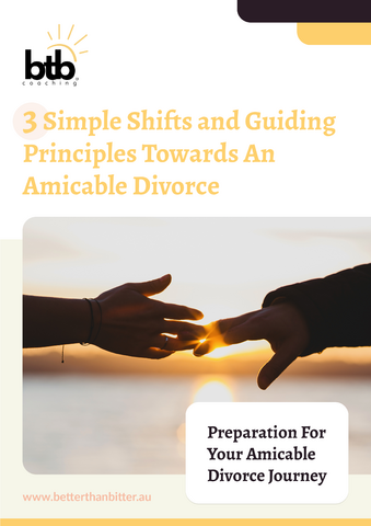The cover of the Preparation For Your Amicable Divorce Journey eBook by Tania Leichliter.