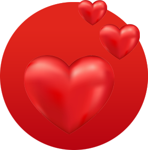 building inspections report - healthy-homes-report