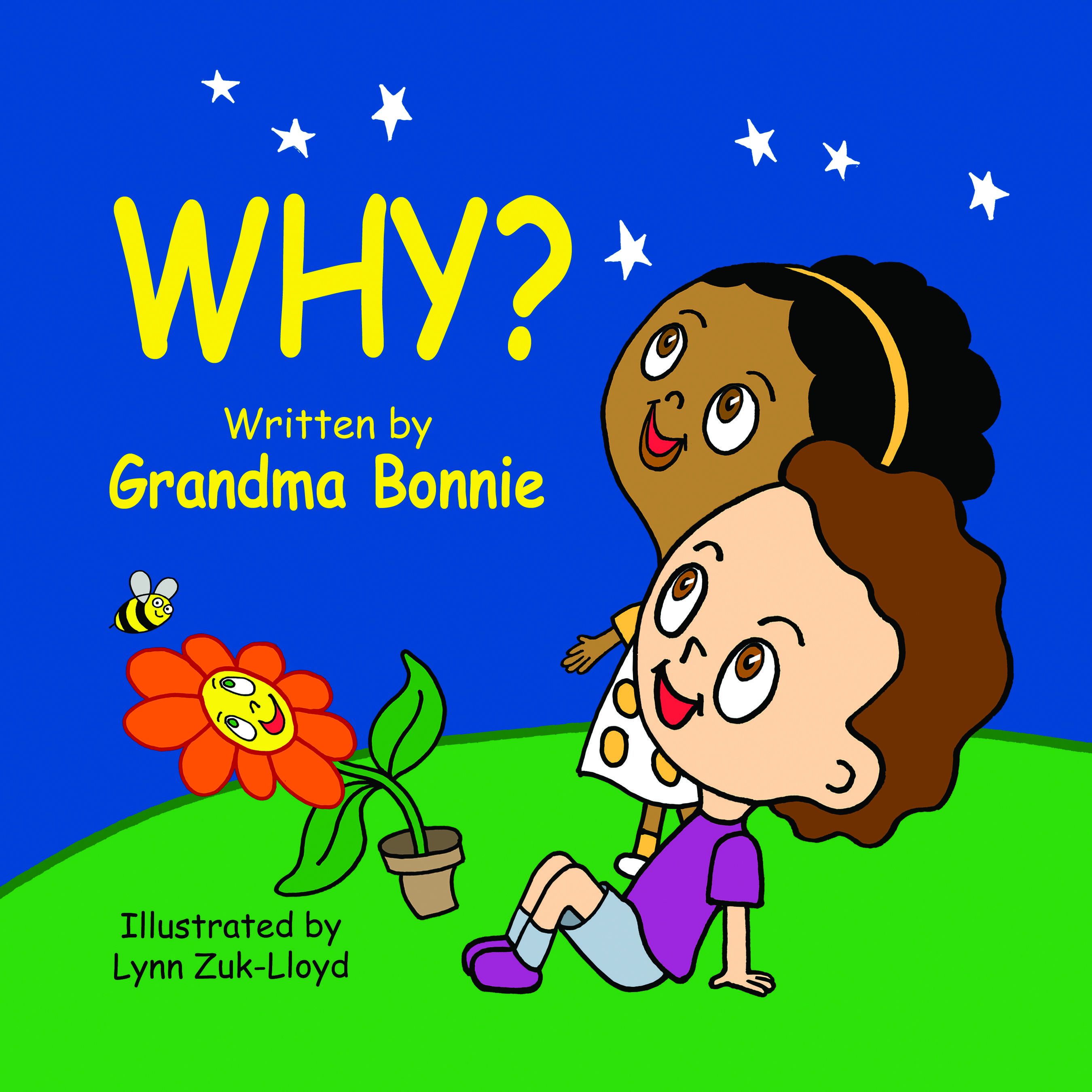 Cover of a book titled "WHY?" with two children gazing at the night sky