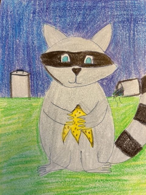 Drawing of a raccoon