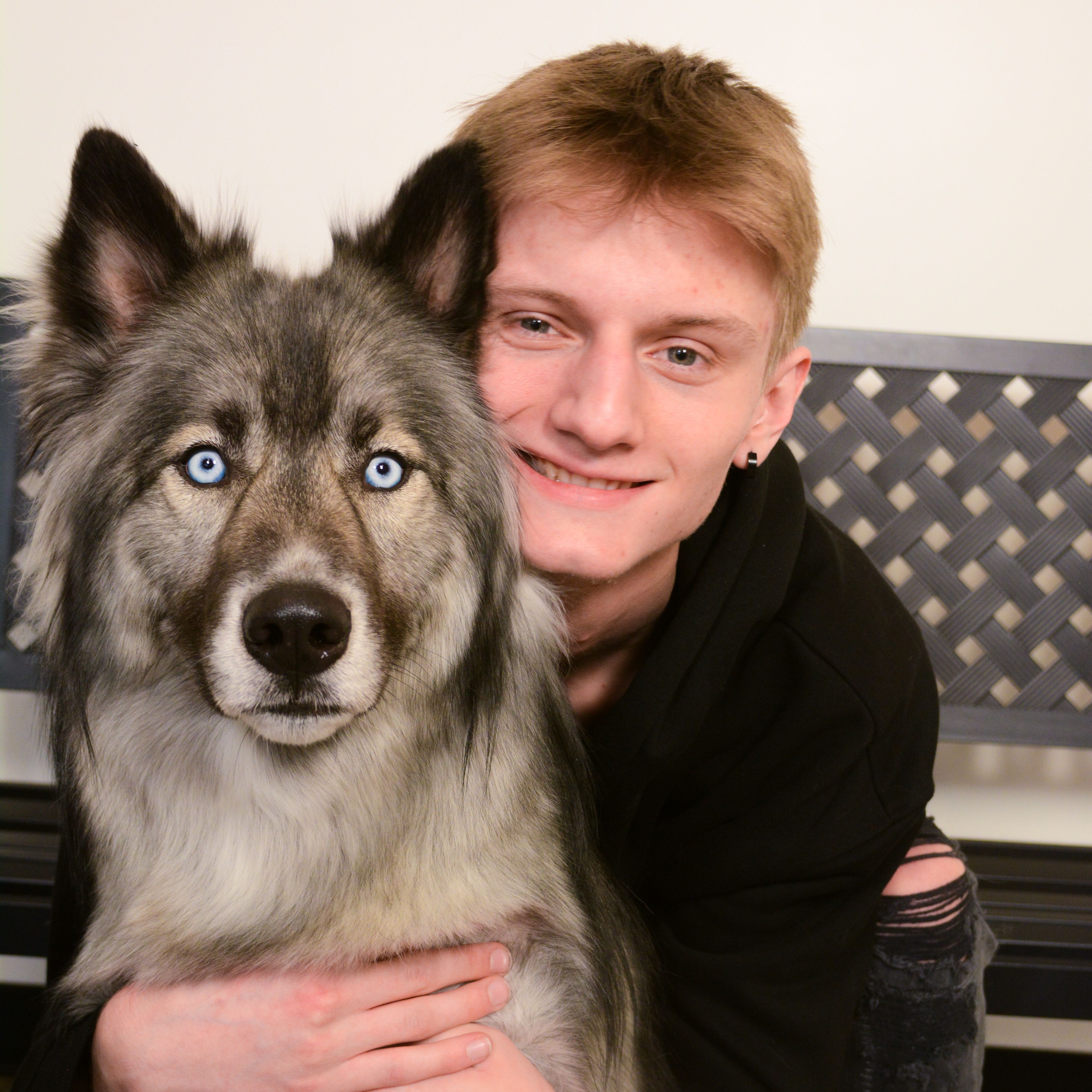 Layton pet grooming uptown bark