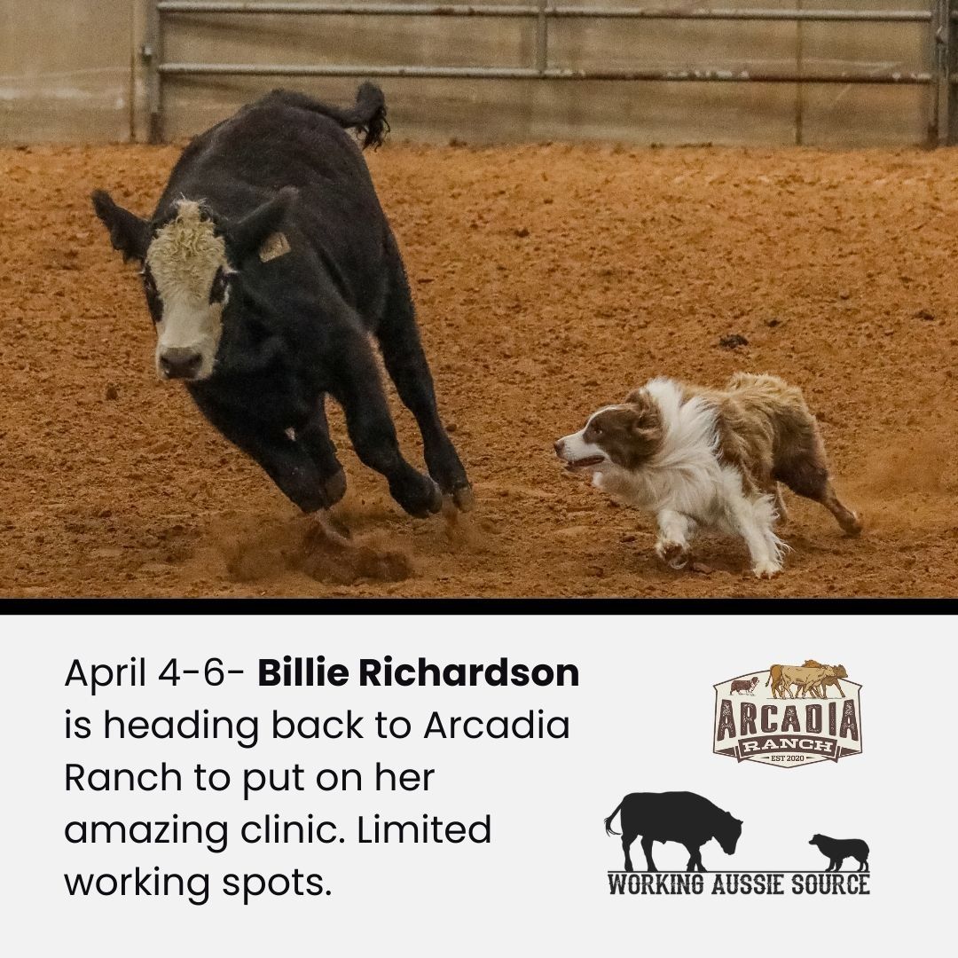 Arcadia Ranch Special Events!