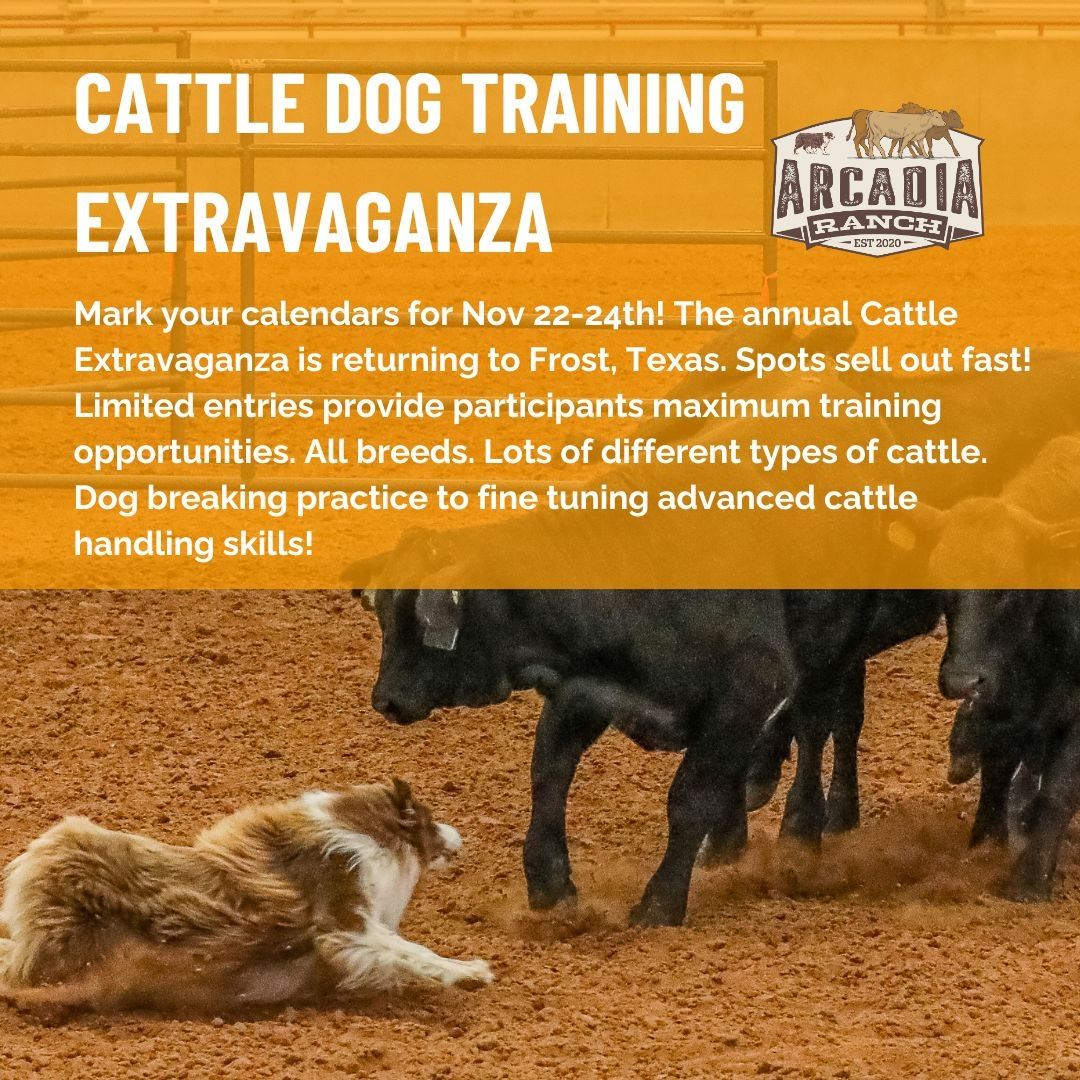 2024 Arcadia Ranch Special Events!