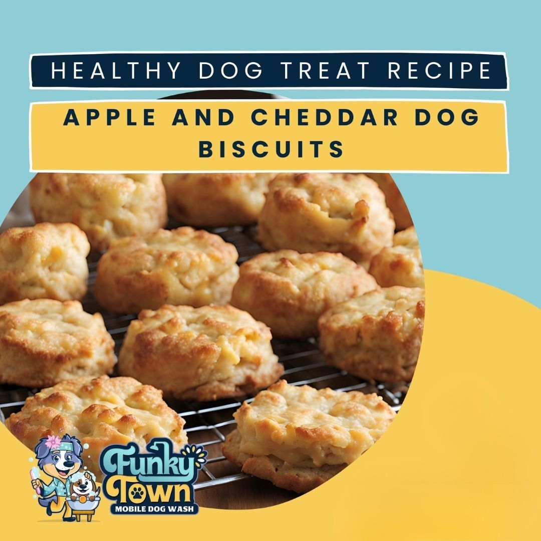 View of Homemade Apple and Cheddar Dog Biscuits Recipe | Healthy Dog Treats