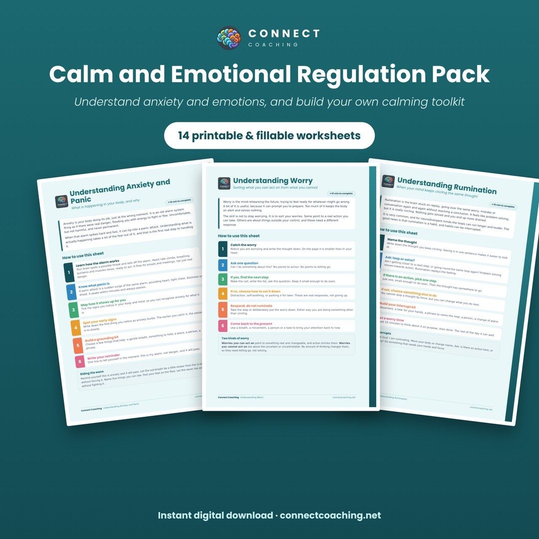 Calm and Emotional Regulation Pack cover showing sample pages