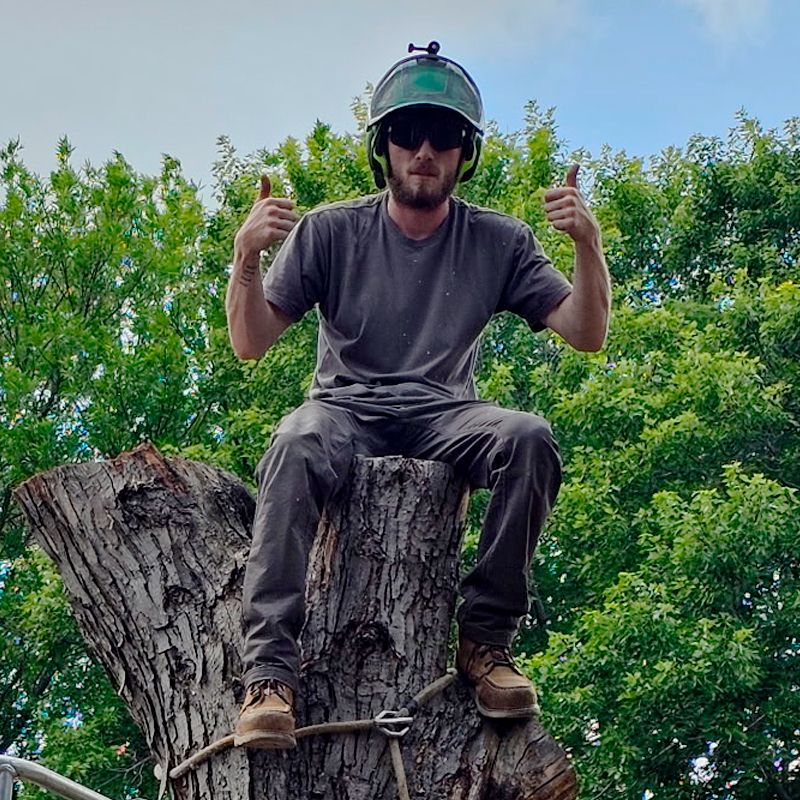 Israil, tree steward at Environmental Advantage, skilled in aerial lift and tree removal services across Minnesota and North Dakota.