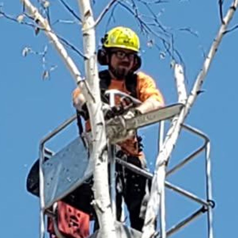 Garrett, tree steward at Environmental Advantage, performing professional tree pruning and removal services in Minnesota.