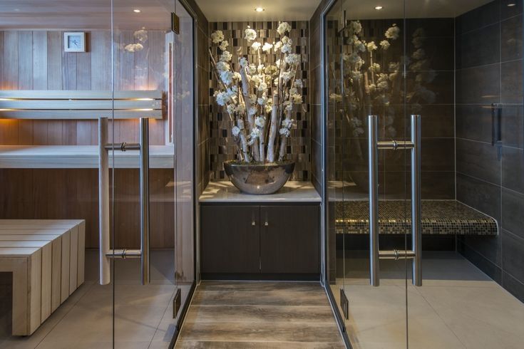 nickoVISION Sauna and Steam Room