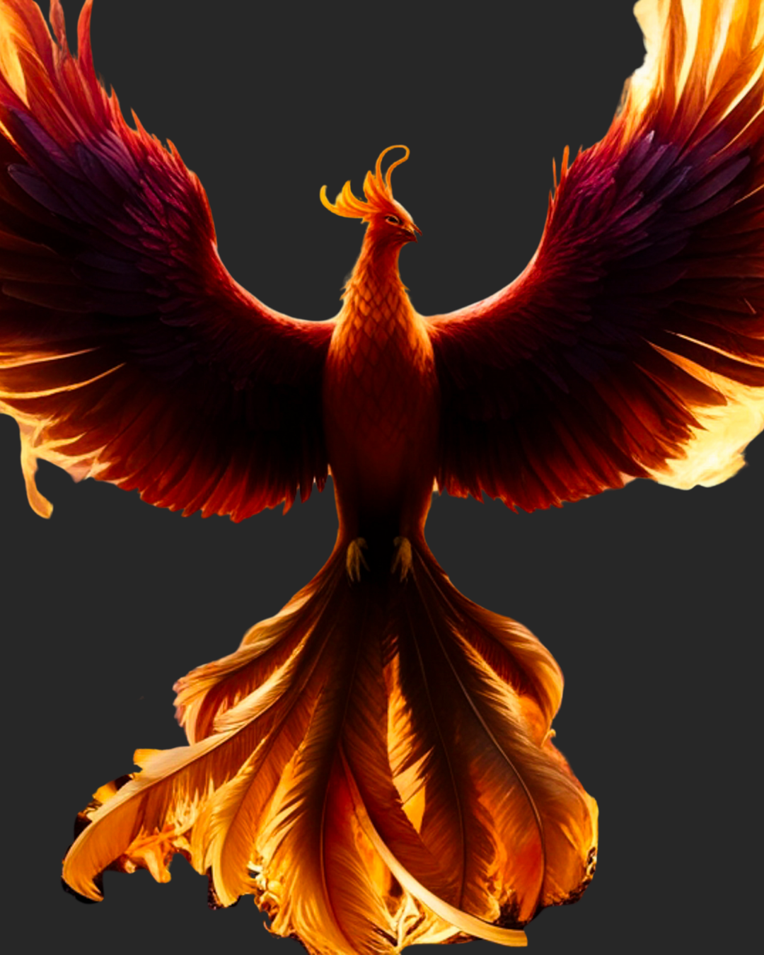 Red Phoenix 12-month Group Mentorship Program
