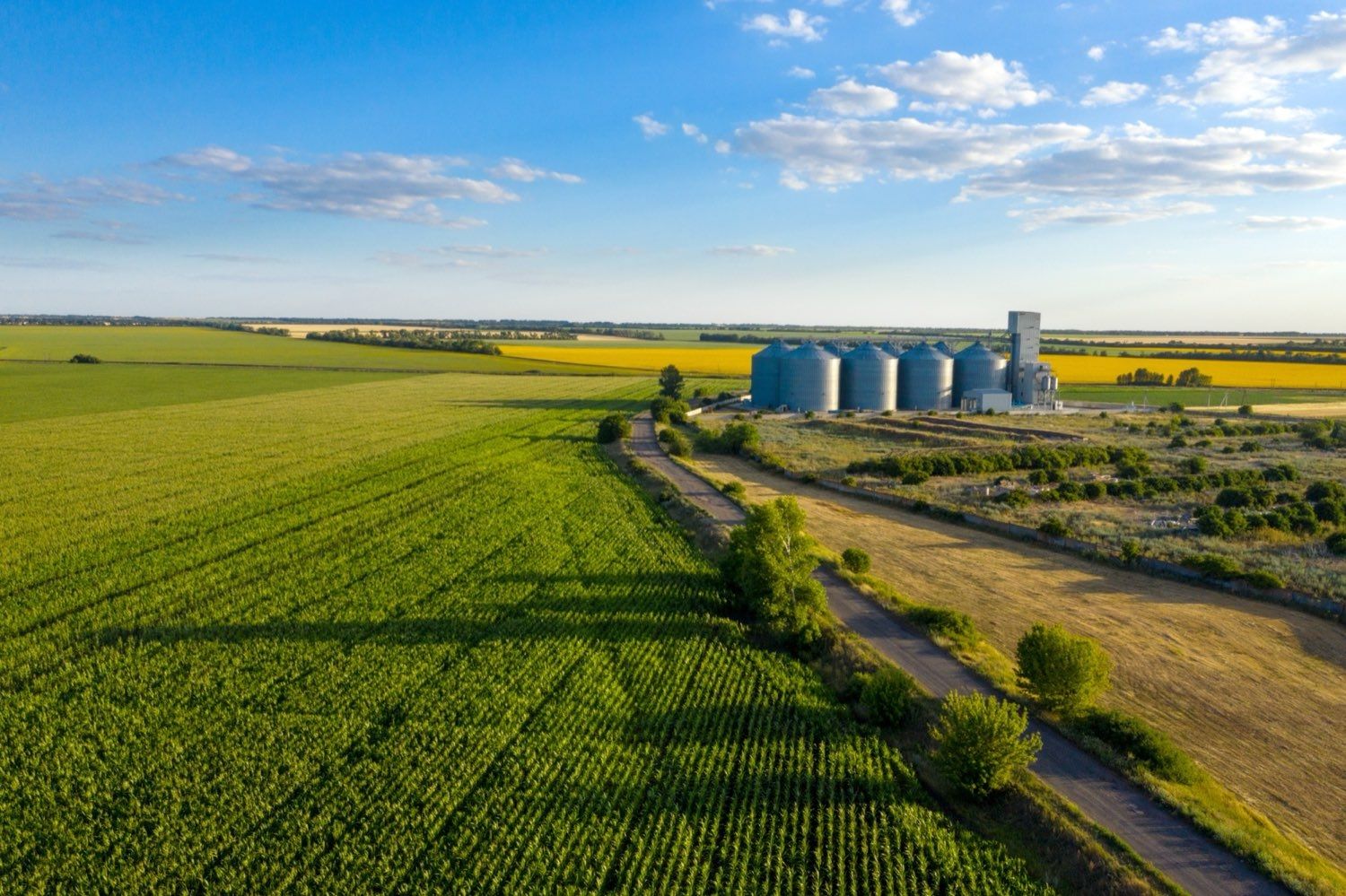 Aerial view of co-op grain storage bins beside cropland