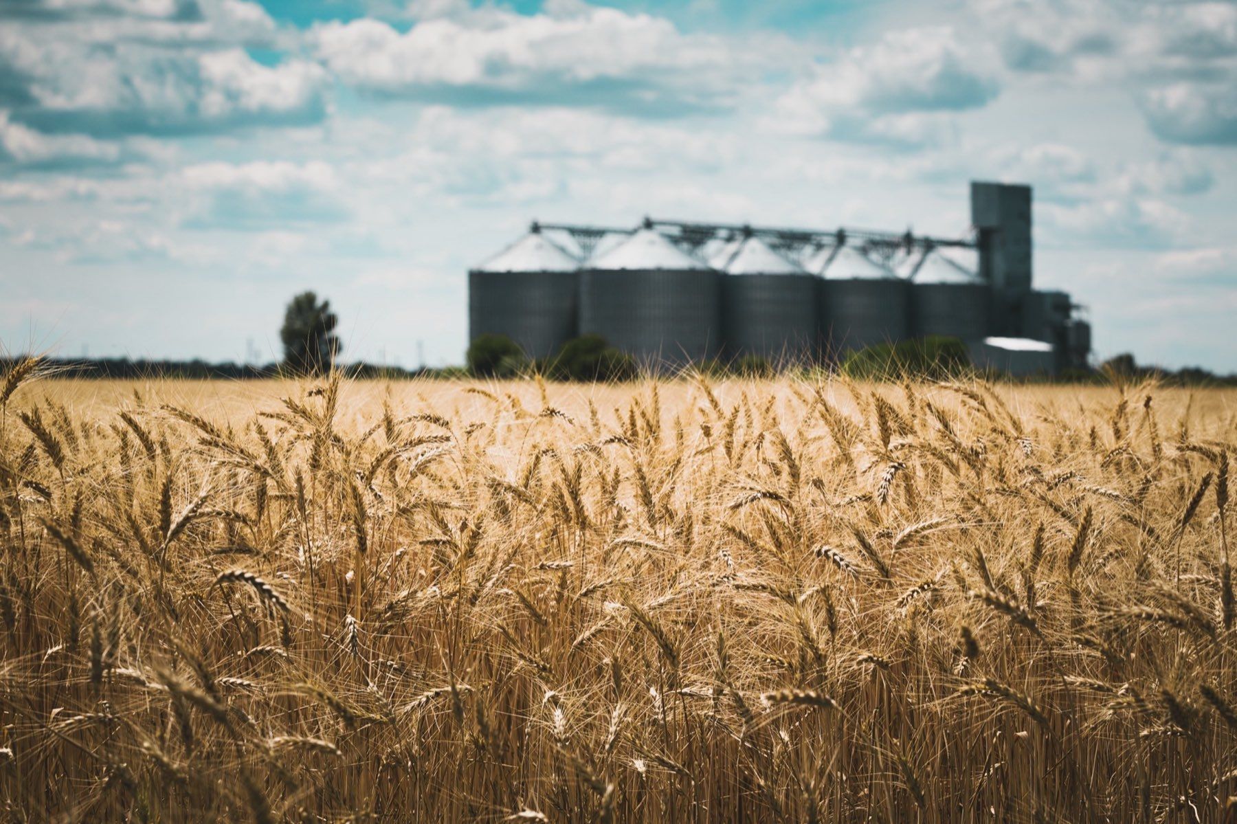 A grain elevator standing against a wide sky