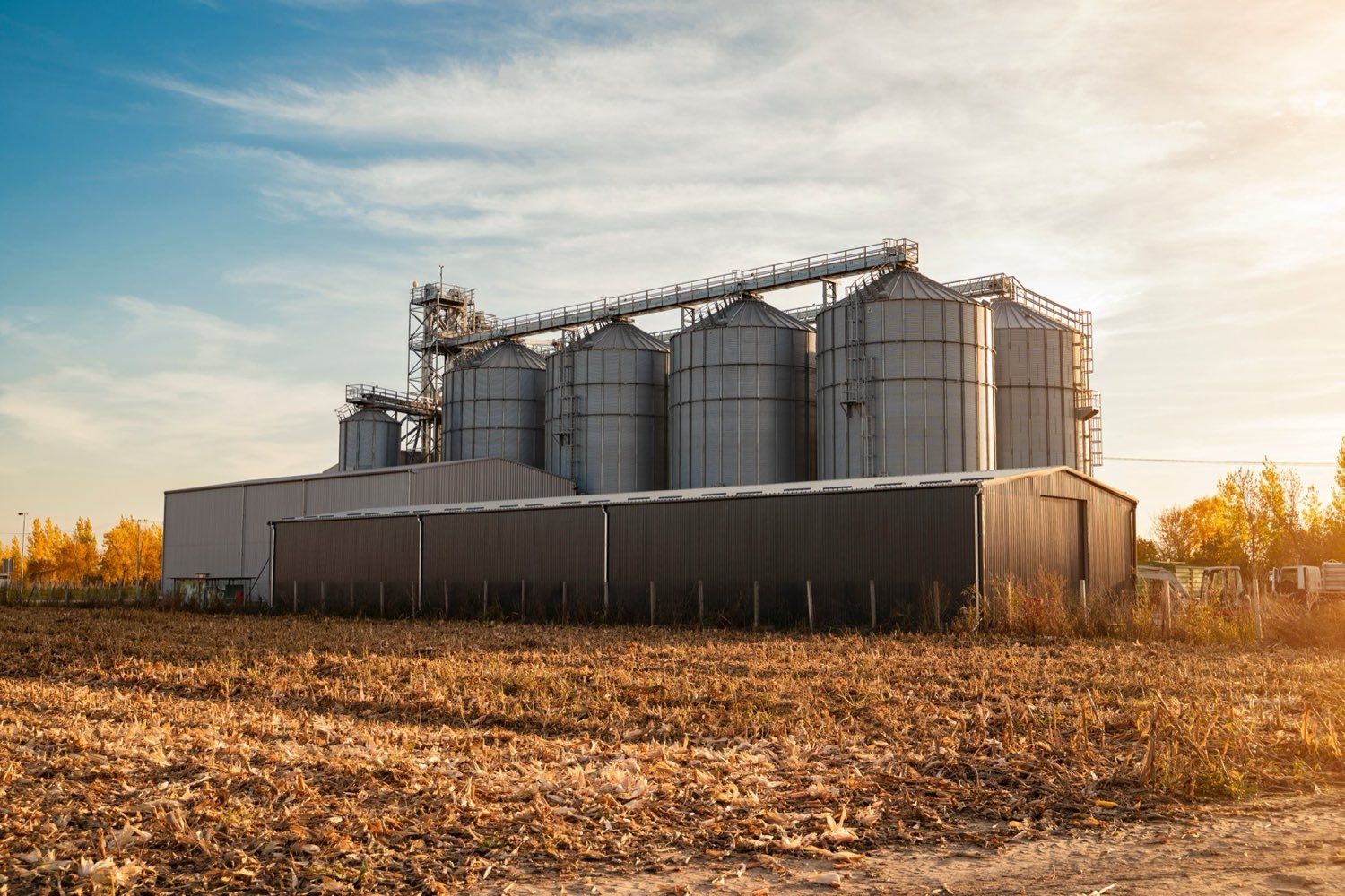 On-farm grain bins beside an autumn field