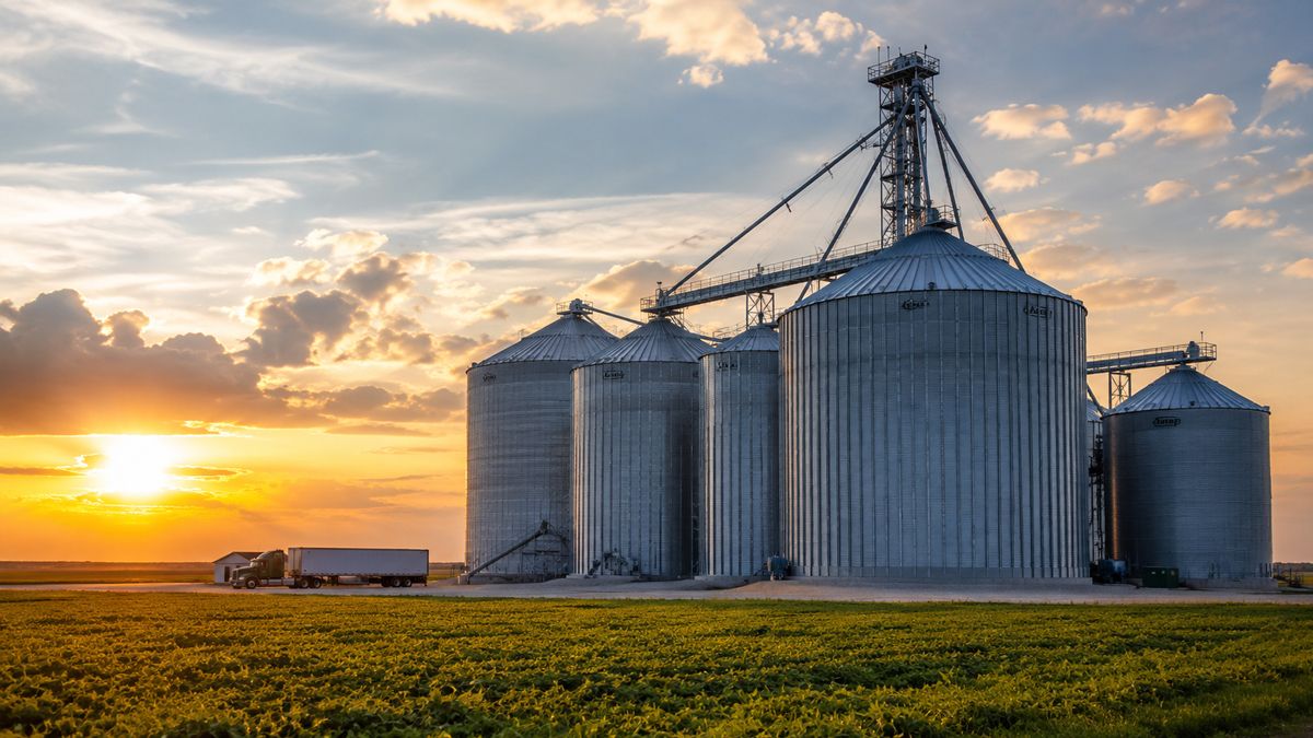 Grain bins at sunrise on a Minnesota farm