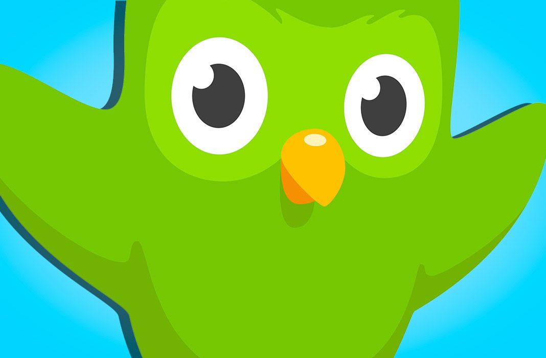 green owl mascot with blue background