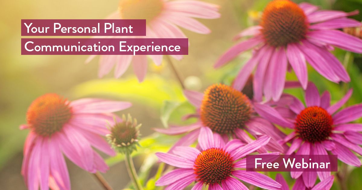 Plant Communication Webinar