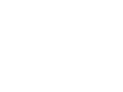 Icon of a handshake