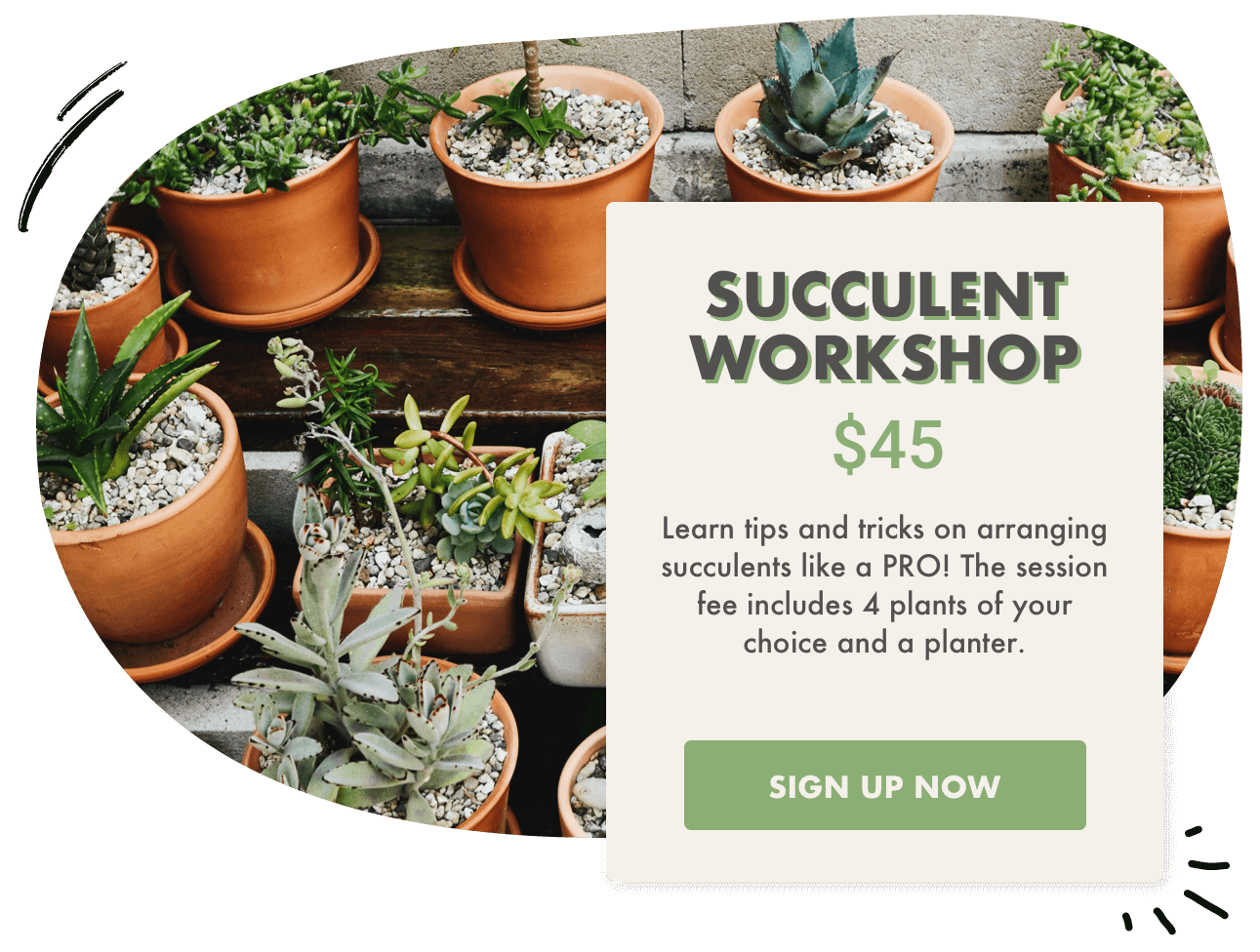A sign up form for a workshop featuring succulent plants 
