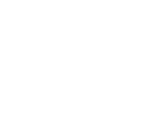 Icon of word bubbles, representing conversation