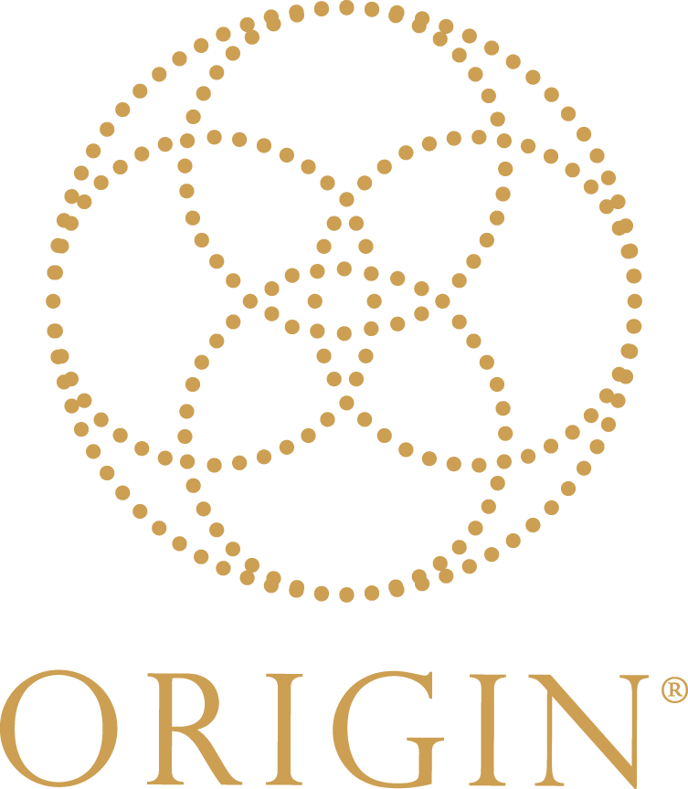The Origin Workshop