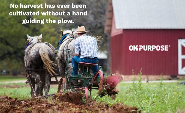 No harvest has ever been cultivated without a hand guiding the plow. 
